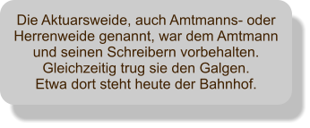 Die Aktuarsweide, auch Amtmanns- oder Herrenweide genannt, war dem Amtmann und seinen Schreibern vorbehalten. Gleichzeitig trug sie den Galgen.  Etwa dort steht heute der Bahnhof.