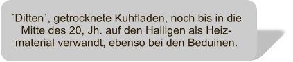 `Ditten, getrocknete Kuhfladen, noch bis in die Mitte des 20, Jh. auf den Halligen als Heiz-material verwandt, ebenso bei den Beduinen.