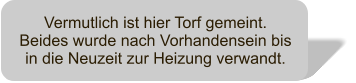 Vermutlich ist hier Torf gemeint. Beides wurde nach Vorhandensein bis in die Neuzeit zur Heizung verwandt.