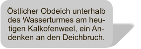 stlicher Obdeich unterhalb des Wasserturmes am heu-tigen Kalkofenweel, ein An-denken an den Deichbruch.